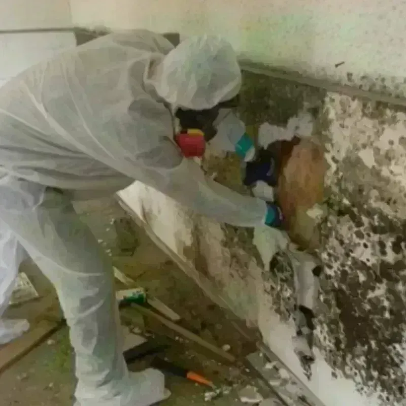 Mold Remediation and Removal in Kennebunk, ME